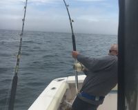 sandyhook fishing 36 20200406