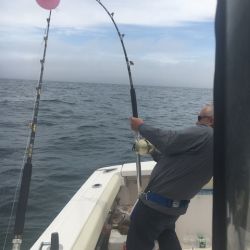 sandyhook fishing 36 20200406
