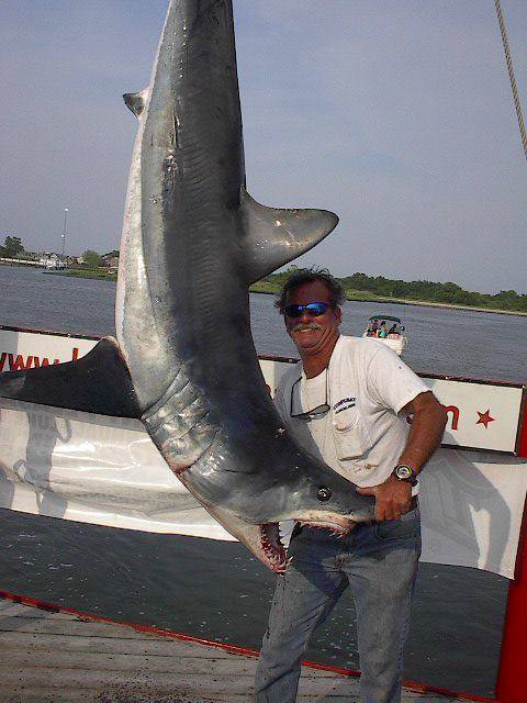 best fishing spot sandy hook bay Sandy Hook Fishing | Reel Happy - Highlands NJ