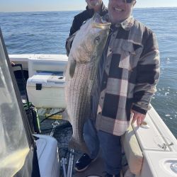 311877320 559799639479711 n