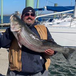 312943165 568056408654034 n