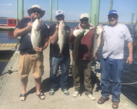 fishing gallery 3 20210526