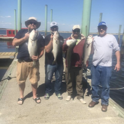 fishing gallery 3 20210526