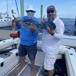 photo gallery 1 20200802