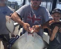 photo gallery 1 20200802