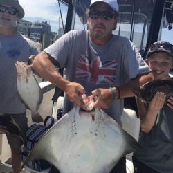 photo gallery 1 20200802