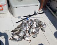 sandyhook fishing 101 20200406