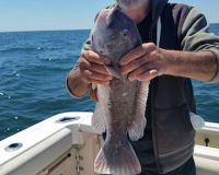 sandyhook fishing 105 20200406