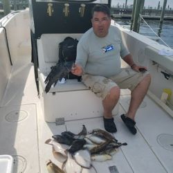 sandyhook fishing 107 20200406