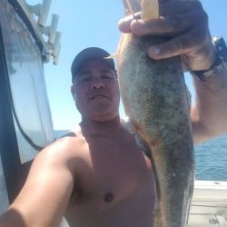 sandyhook fishing 108 20200406