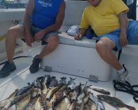 sandyhook fishing 109 20200406