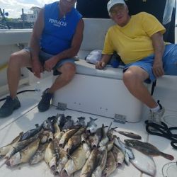 sandyhook fishing 109 20200406