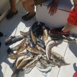 sandyhook fishing 111 20200406