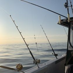 sandyhook fishing 118 20200406