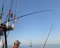 sandyhook fishing 121 20200406