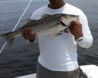 sandyhook fishing 122 20200406