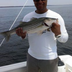 sandyhook fishing 122 20200406