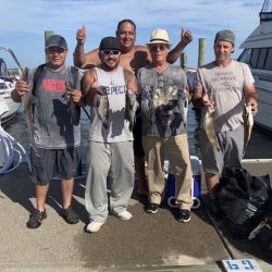 sandyhook fishing 123 20200406