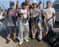 sandyhook fishing 124 20200406