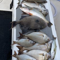 sandyhook fishing 125 20200406