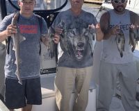 sandyhook fishing 137 20200406