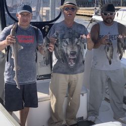 sandyhook fishing 137 20200406