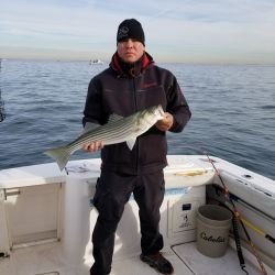 sandyhook fishing 139 20200406