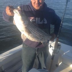 sandyhook fishing 16 20200406