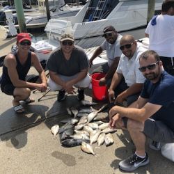 sandyhook fishing 2 20200406