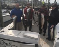 sandyhook fishing 20 20200406
