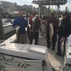 sandyhook fishing 20 20200406