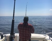 sandyhook fishing 23 20200406