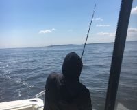 sandyhook fishing 24 20200406