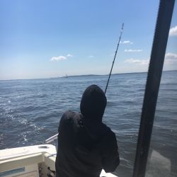 sandyhook fishing 24 20200406