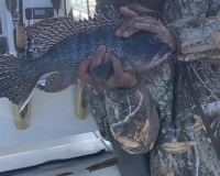 sandyhook fishing 25 20200406