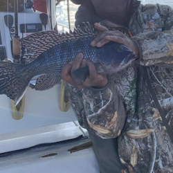 sandyhook fishing 25 20200406