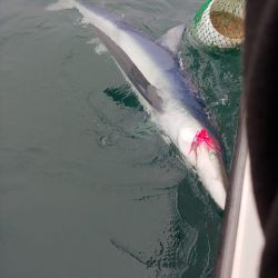 sandyhook fishing 29 20200406
