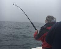 sandyhook fishing 32 20200406