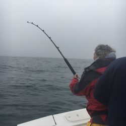 sandyhook fishing 32 20200406