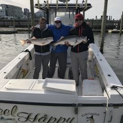 sandyhook fishing 4 20200406