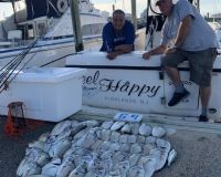 sandyhook fishing 49 20200406