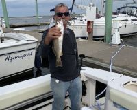 sandyhook fishing 60 20200406