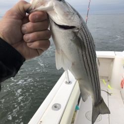 sandyhook fishing 61 20200406