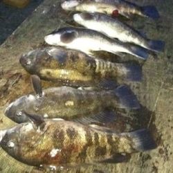 sandyhook fishing 68 20200406