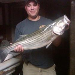 sandyhook fishing 72 20200406