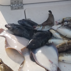 sandyhook fishing 75 20200406