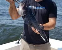 sandyhook fishing 77 20200406