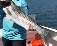 sandyhook fishing 81 20200406