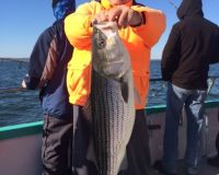 sandyhook fishing 84 20200406