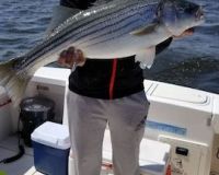 sandyhook fishing 85 20200406